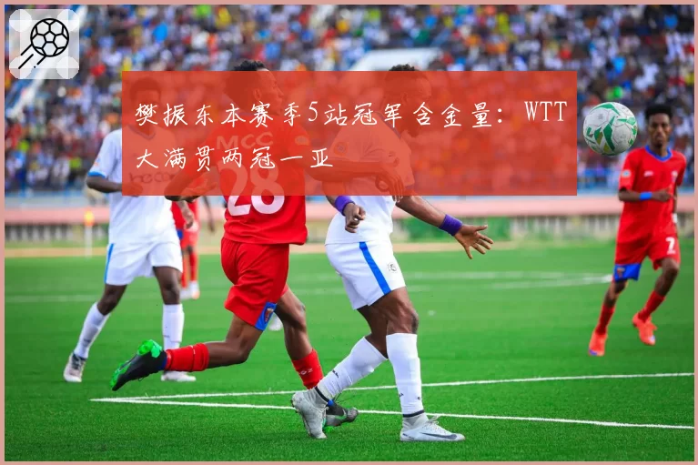 樊振东本赛季5站冠军含金量：WTT大满贯两冠一亚