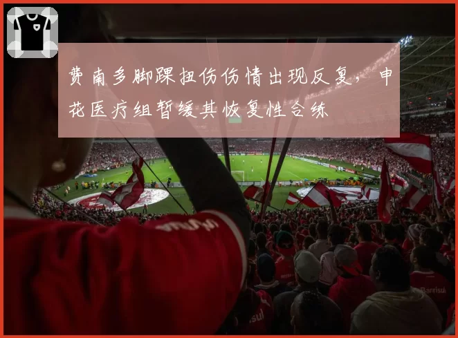 费南多脚踝扭伤伤情出现反复,申花医疗组暂缓其恢复性合练