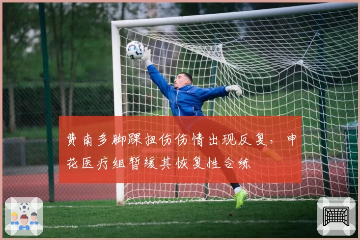 费南多脚踝扭伤伤情出现反复,申花医疗组暂缓其恢复性合练